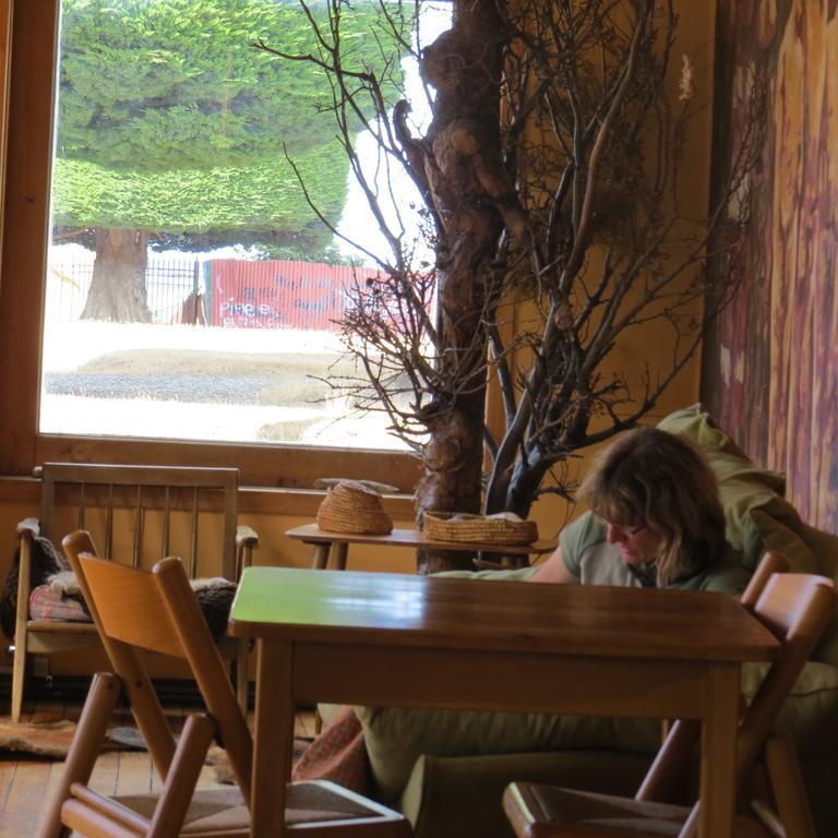Hotel Hain Punta Arenas Ngoại thất bức ảnh